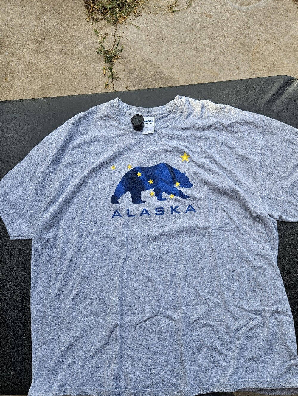Alaska Bear Flag Y2K Graphic Gildan Tee